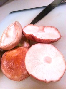 shiitake mushroom caps