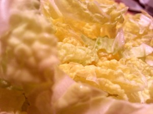napa cabbage